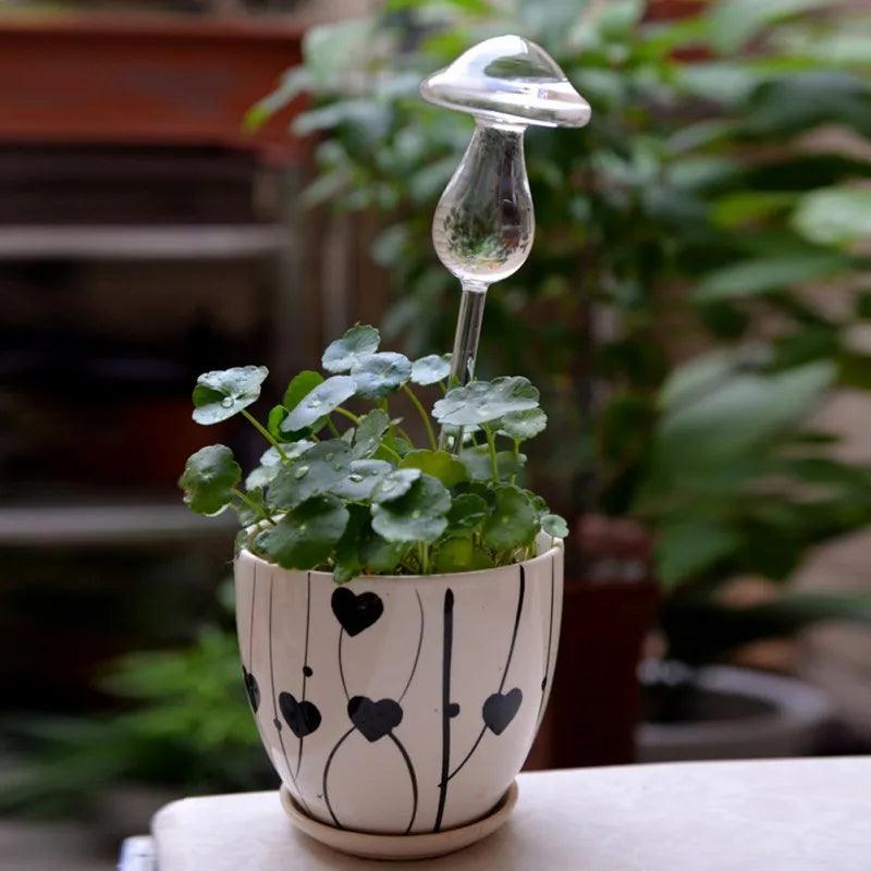 Self-watering glass plant feeders - Nordique Boutique