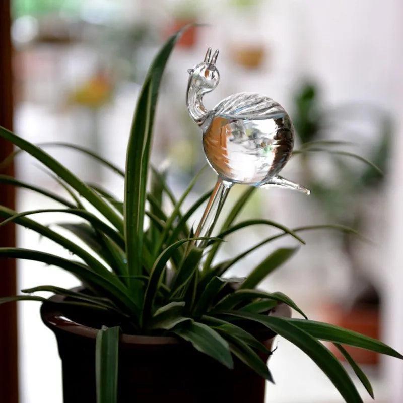 Self-watering glass plant feeders - Nordique Boutique